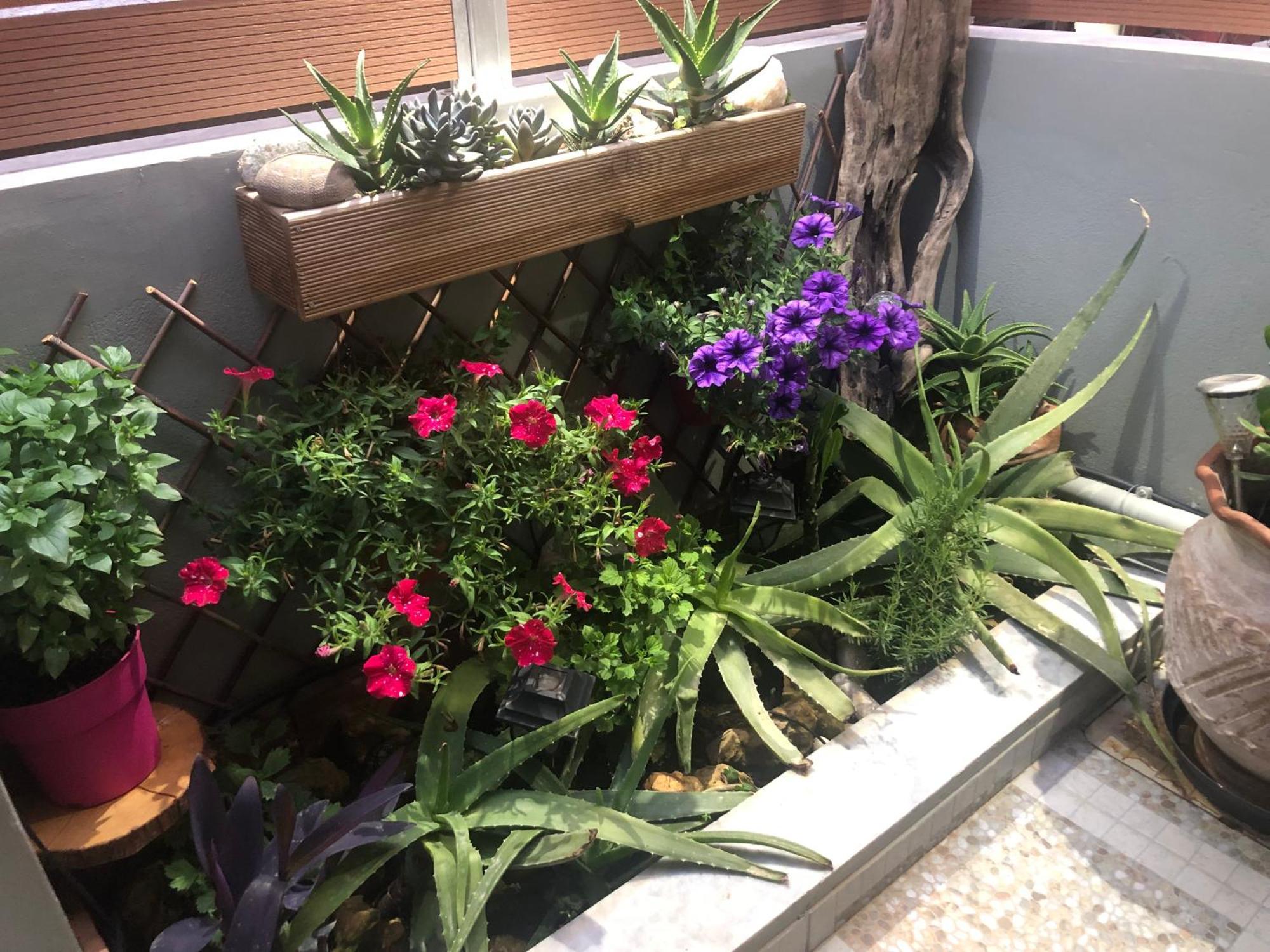Summer Mood La Canea Exterior foto